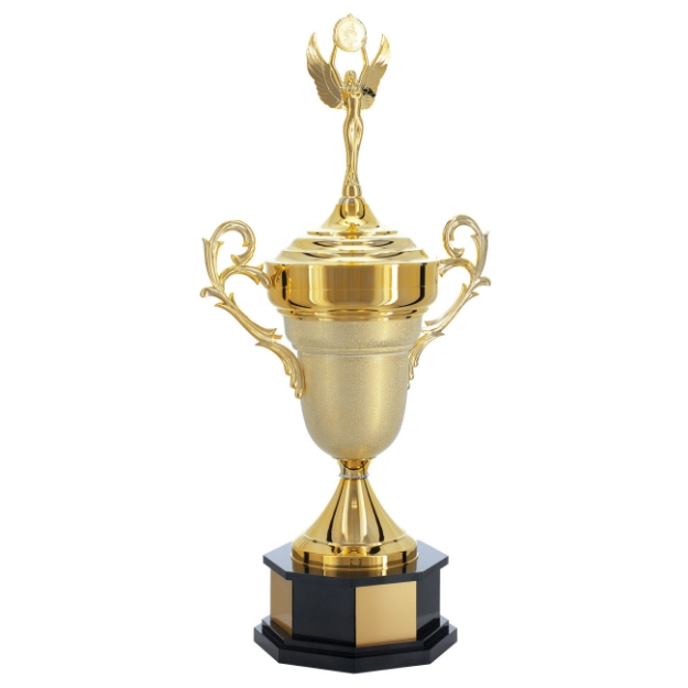 Imagem de TROFÉU GRANDE TRANSITÓRIO EM POLIMERO METALIZADO E MDF - 200700-DOT
