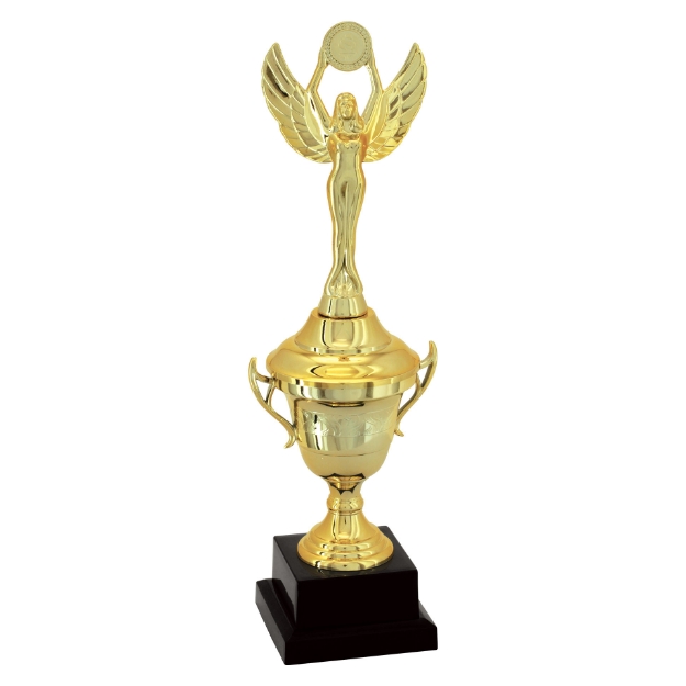 Imagem de TROFÉU TAÇA PEQUENO EM POLÍMERO METALIZADO - 29 CM - 501123-DO