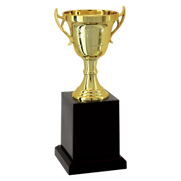 Imagem de TROFÉU TAÇA ABERTA PEQUENO EM POLÍMERO METALIZADO - 20 CM - 501125-DO