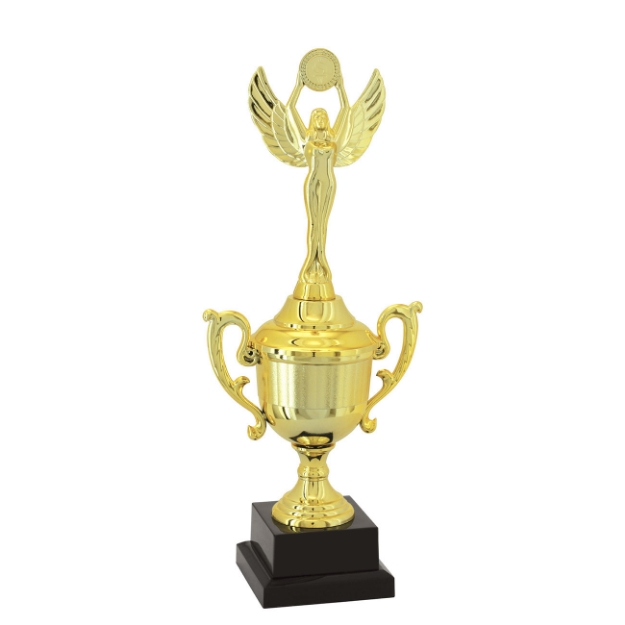 Imagem de TROFÉU TAÇA PEQUENO EM POLÍMERO METALIZADO - 30 CM - 501203-DO