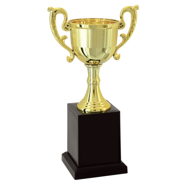 Imagem de TROFÉU TAÇA ABERTA PEQUENO EM POLÍMERO METALIZADO - 23 CM - 501205-DO