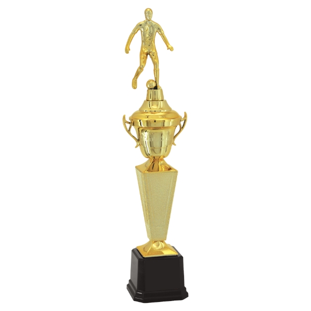Imagem de TROFÉU TAÇA PEQUENO EM POLÍMERO METALIZADO - 39 CM - 501252-DOT