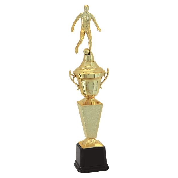 Imagem de TROFÉU TAÇA PEQUENO EM POLÍMERO METALIZADO - 37 CM - 501253-DOT