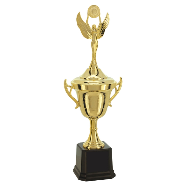 Imagem de TROFÉU TAÇA PEQUENO EM POLÍMERO METALIZADO - 53 CM - 501561-DO