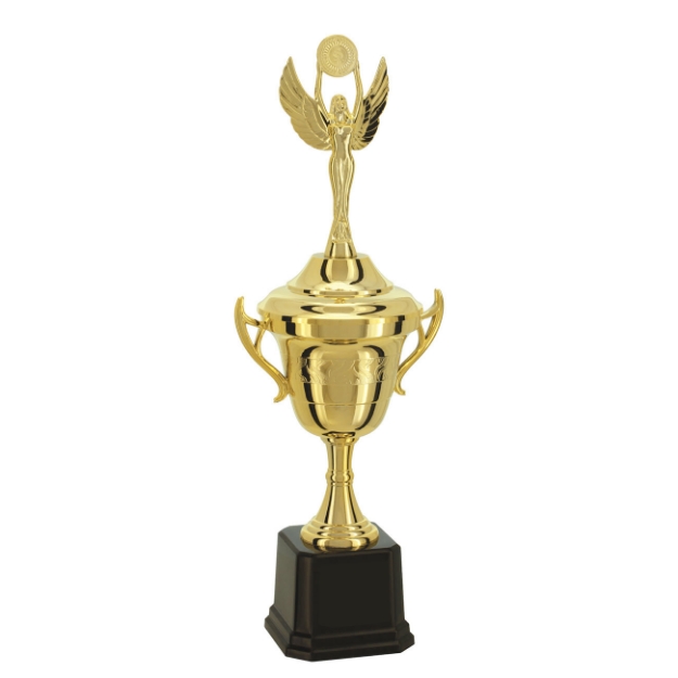 Imagem de TROFÉU TAÇA PEQUENO EM POLÍMERO METALIZADO - 45 CM - 501562-DO