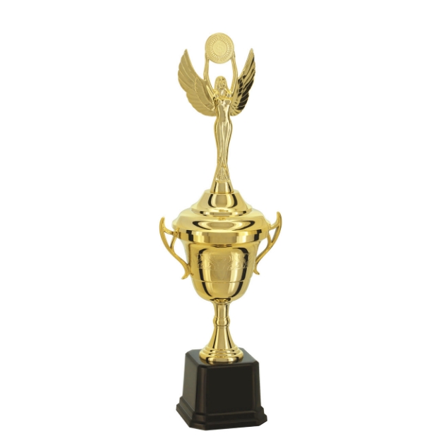 Imagem de TROFÉU TAÇA PEQUENO EM POLÍMERO METALIZADO - 40 CM - 501563-DO