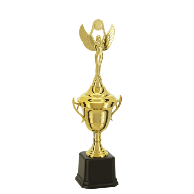 Imagem de TROFÉU TAÇA PEQUENO EM POLÍMERO METALIZADO - 34 CM - 501564-DO