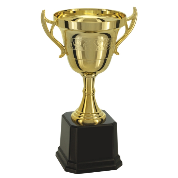 Imagem de TROFÉU TAÇA ABERTA PEQUENO EM POLÍMERO METALIZADO - 27 CM - 501572-DO