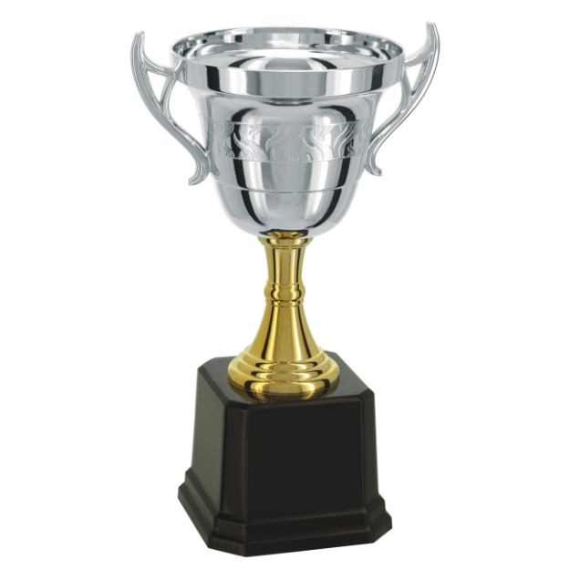 Imagem de TROFÉU TAÇA ABERTA PEQUENO EM POLÍMERO METALIZADO - 27 CM - 501572-PD