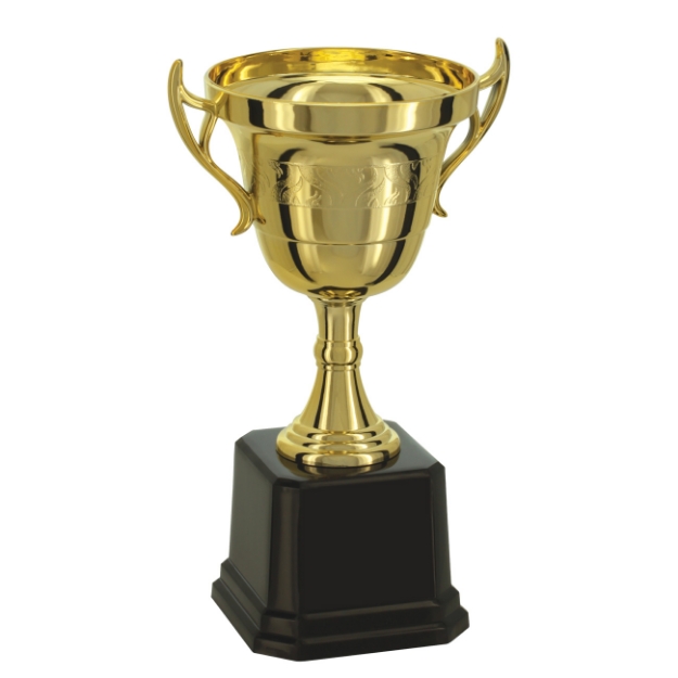 Imagem de TROFÉU TAÇA ABERTA PEQUENO EM POLÍMERO METALIZADO - 22 CM - 501573-DO