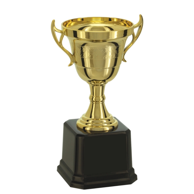 Imagem de TROFÉU TAÇA ABERTA PEQUENO EM POLÍMERO METALIZADO - 18 CM - 501574-DO