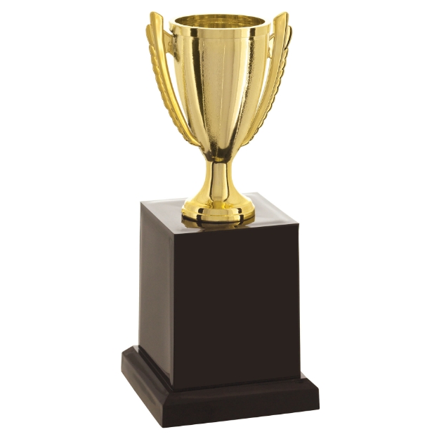 Imagem de TROFÉU TAÇA ABERTA PEQUENO EM POLÍMERO METALIZADO - 18 CM - 501585-DO