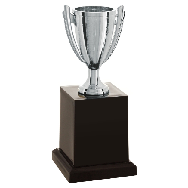 Imagem de TROFÉU TAÇA ABERTA PEQUENO EM POLÍMERO METALIZADO - 18 CM - 501585-PR