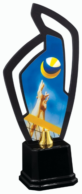 Imagem de TROFÉU COM PLACA DE ACRÍLICO - PERSONALIZÁVEL - 501712-VLP