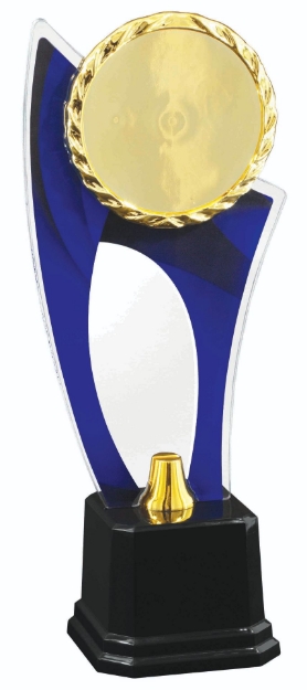 Imagem de TROFÉU COM PLACA DE ACRÍLICO E RAMO PERSONALIZÁVEL - 501723-AZ