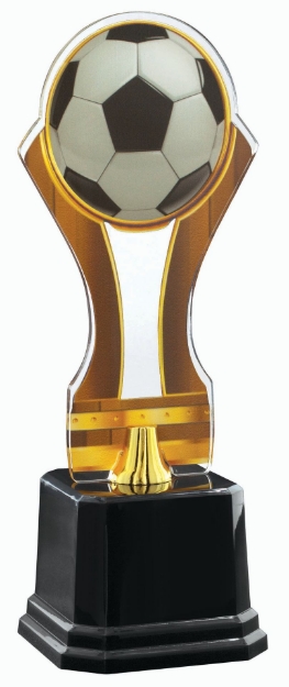 Imagem de TROFÉU COM PLACA DE ACRÍLICO PERSONALIZÁVEL