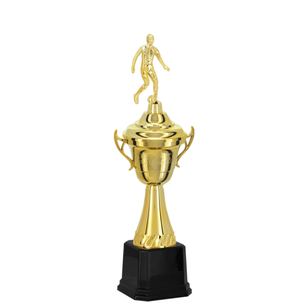 Imagem de TROFÉU TAÇA PEQUENO EM POLÍMERO METALIZADO - 41 CM - 502213-DO