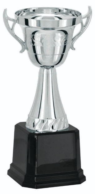 Imagem de TROFÉU TAÇA ABERTA PEQUENO EM POLÍMERO METALIZADO - 31 CM - 502215-PR
