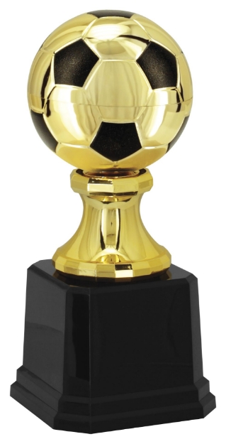 Imagem de TROFÉU PARA DESTAQUE FUTEBOL - BOLA - 502301-PT