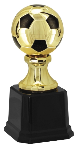 Imagem de TROFÉU PARA DESTAQUE FUTEBOL - BOLA - 502302-PT