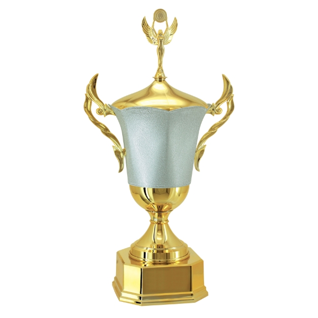 Imagem de TAÇA DE TAMANHO GRANDE EM POLÍMERO METALIZADO - 700240-PRT