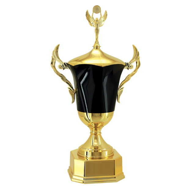 Imagem de TAÇA EM POLÍMERO METALIZADO - 700240-PT