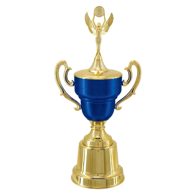 Imagem de TAÇA DE TAMANHO MÉDIO EM POLÍMERO METALIZADO - 00291-AZFA