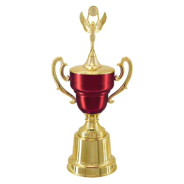 Imagem de TAÇA DE TAMANHO MÉDIO EM POLÍMERO METALIZADO - 700291-VMFA