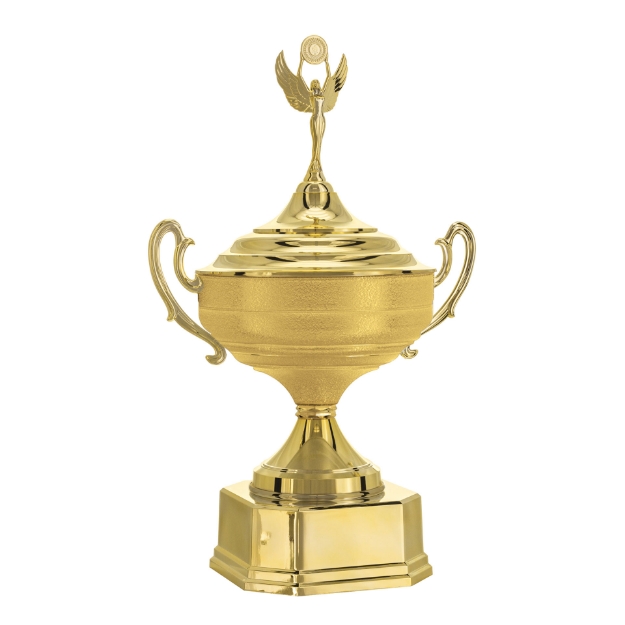 Imagem de TAÇA DE TAMANHO GRANDE EM POLÍMERO METALIZADO - 700582-DOT