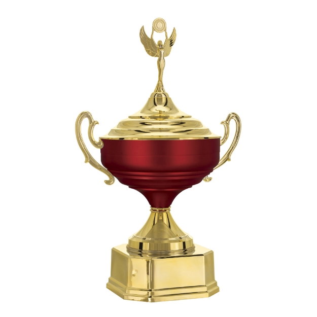 Imagem de TAÇA DE TAMANHO GRANDE EM POLÍMERO METALIZADO - 700582-VMFA