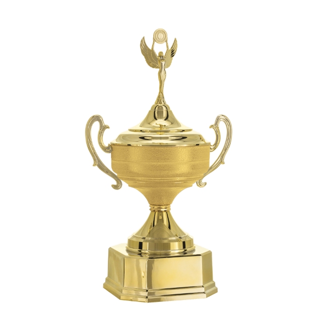 Imagem de TAÇA DE TAMANHO GRANDE EM POLÍMERO METALIZADO - 700583-DOT