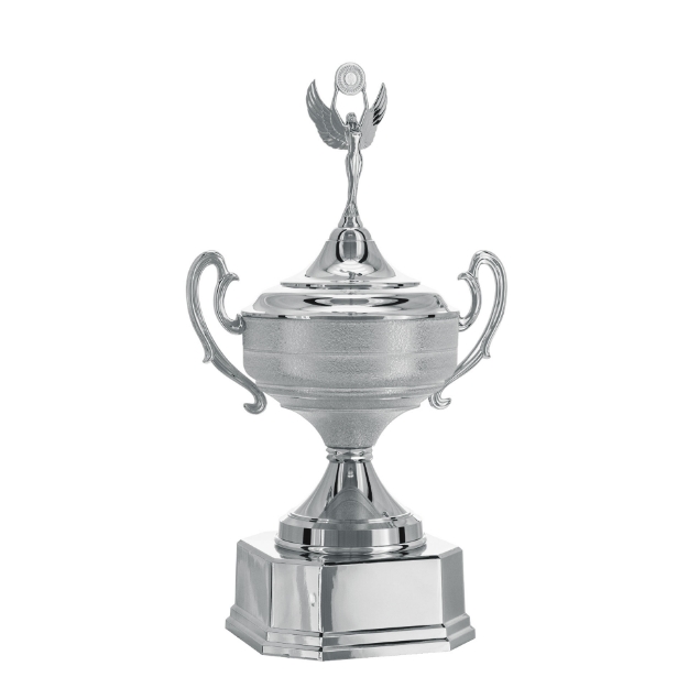 Imagem de TAÇA DE TAMANHO GRANDE EM POLÍMERO METALIZADO - 700583-PRT