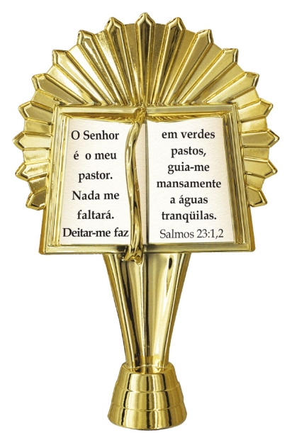 Imagem de FIGURA BIBLIA FBBD-001-DO / DECALQUE - 12,50 CM