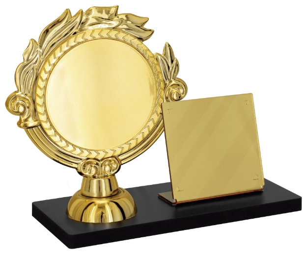 Imagem de TROFÉU PARA PREMIAÇÃO GERAL COM BASE DE MDF, RAMO PARA PERSONALZAÇÃO E PLACA DE ACRÍLICO ESPELHADO - PLM-270-DO-3000