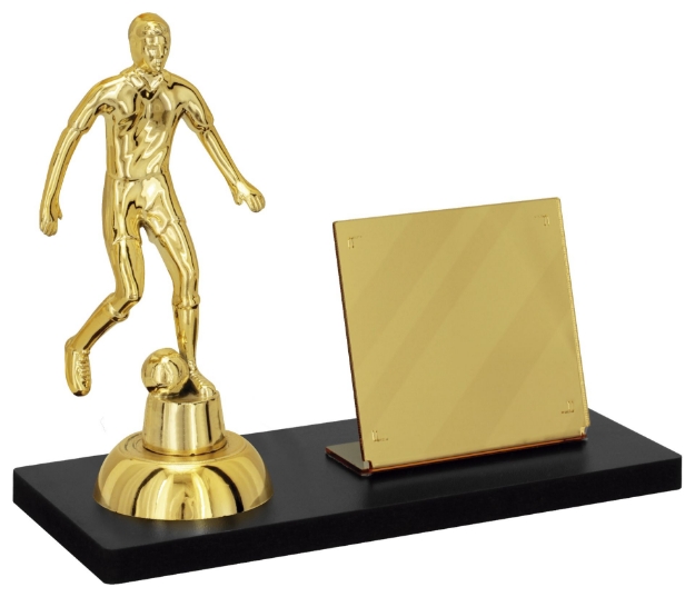 Imagem de TROFÉU PARA PREMIAÇÃO DE FUTEBOL COM BASE DE MDF E PLACA DE ACRÍLICO ESPELHADO - PLM-270-DO-FT02