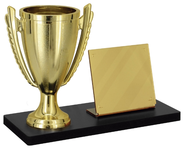 Imagem de TROFÉU PARA PREMIAÇÃO GERAL COM BASE DE MDF, TAÇA ABERTA E PLACA DE ACRÍLICO ESPELHADO - PLM-280-DO