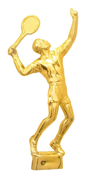 Imagem de FIGURA JOGADOR TENIS TN-DO - 17,20 CM