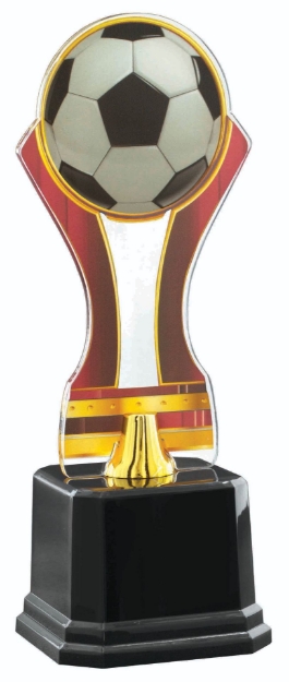 Imagem de TROFÉU COM PLACA DE ACRÍLICO PERSONALIZÁVEL - 501732-VM-FT