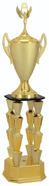 Imagem de TROFÉU GRANDE EM POLIMERO METALIZADO - 200813-DOT