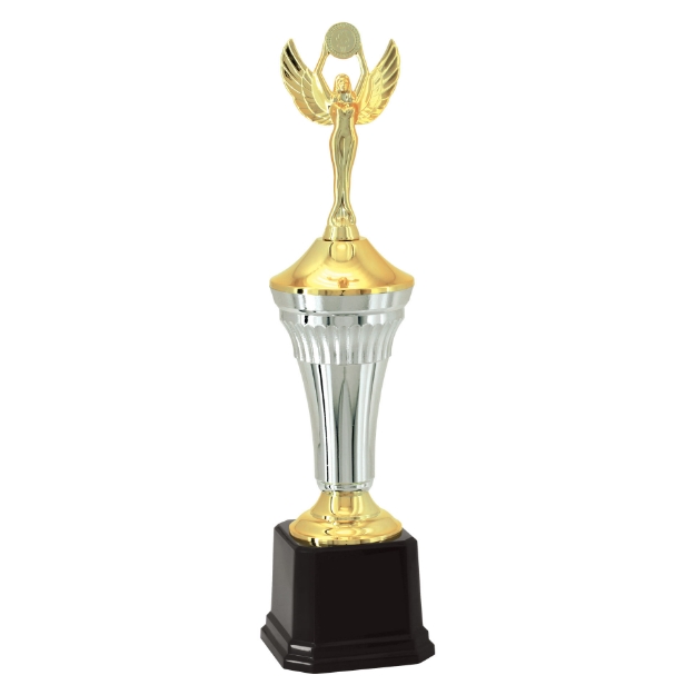 Imagem de TROFÉU MÉDIO EM POLÍMERO METALIZADO - 40 CM - 401393-PD