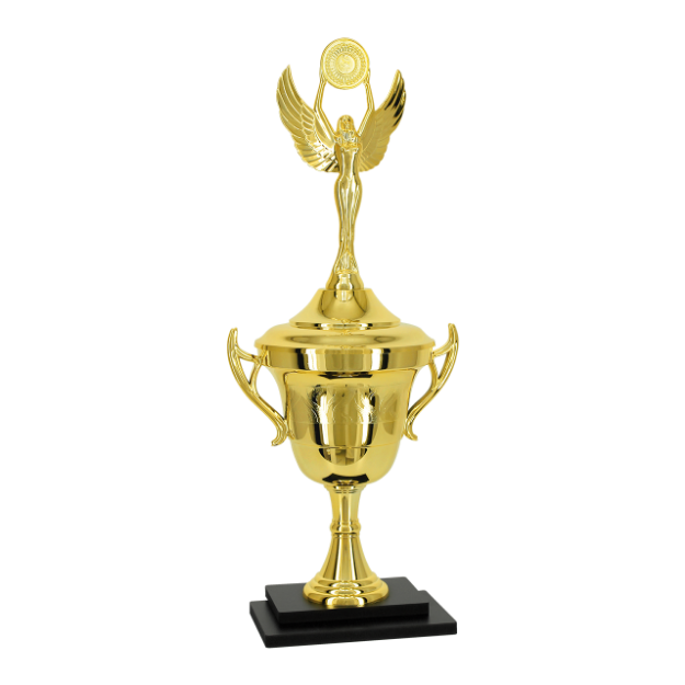 Imagem de TROFÉU PARA PREMIAÇÃO GERAL COM BASE DE MDF E TAÇA METALIZADA