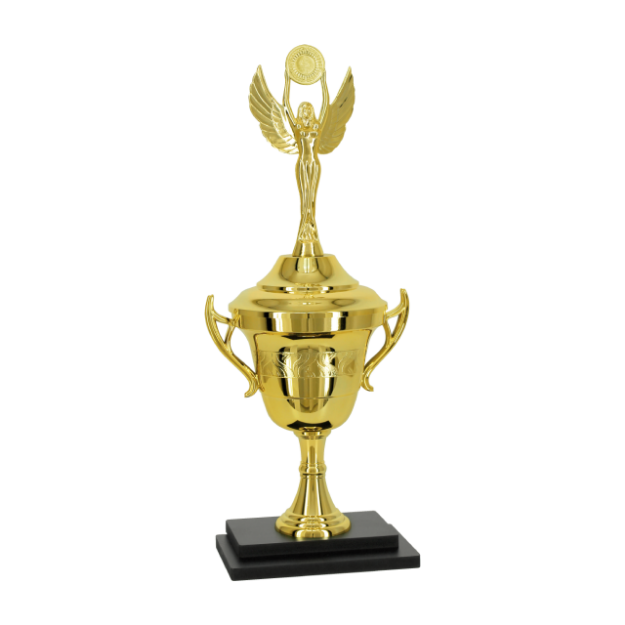 Imagem de TROFÉU PARA PREMIAÇÃO GERAL COM BASE DE MDF E TAÇA METALIZADA