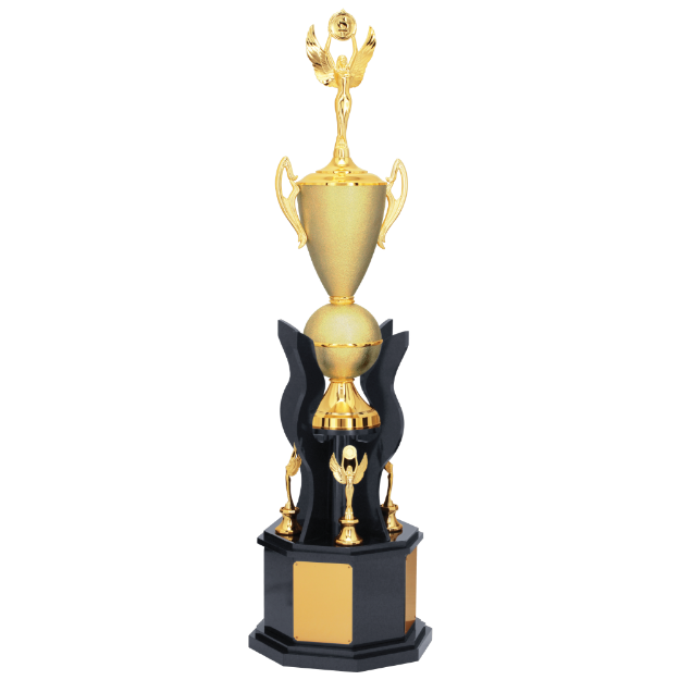 Imagem de TROFÉU GRANDE TRANSITÓRIO - 200340-DOT