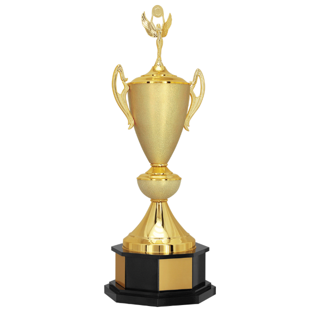 Imagem de TROFÉU GRANDE TRANSITÓRIO EM POLIMERO METALIZADO E MDF - 200710-DOT