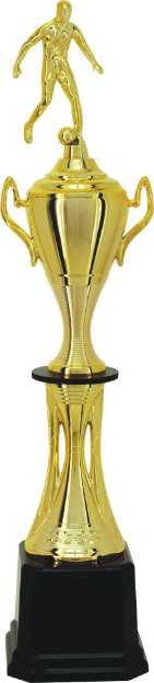 Imagem de TROFÉU MÉDIO TAÇA EM POLÍMERO METALIZADO - 68 CM - 301113-DO