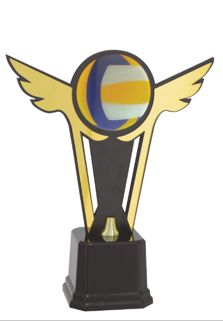 Imagem de TROFÉU COM PLACA DE  MDF E INSERTO DE ACRÍLICO PERSONALIZÁVEL