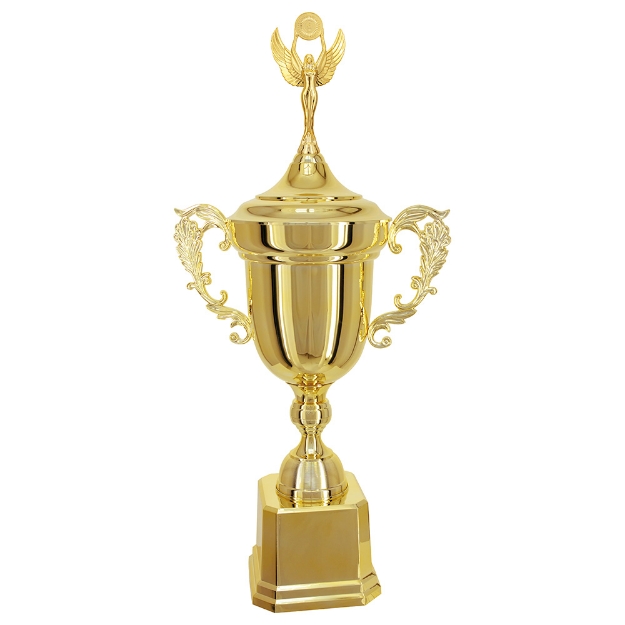 Imagem de TAÇA DE TAMANHO GRANDE EM POLÍMERO METALIZADO - 700850-DO