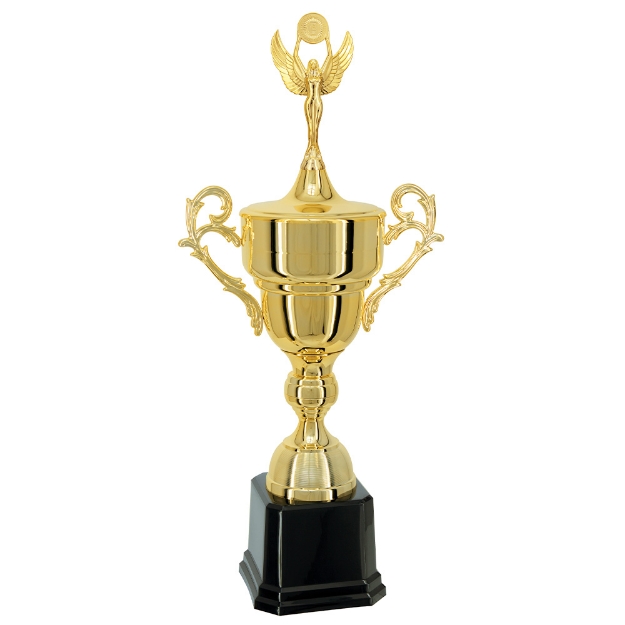 Imagem de TAÇA DE TAMANHO MÉDIO EM POLÍMERO METALIZADO - 74 cm - 700821-DO