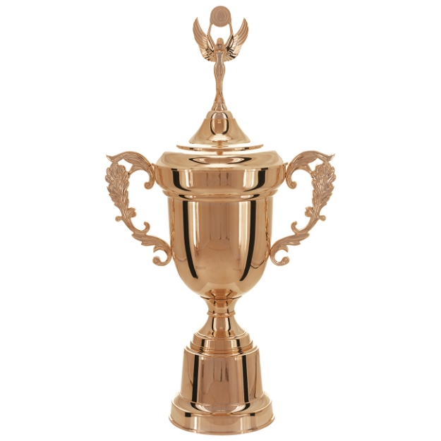Imagem de TAÇA DE TAMANHO GRANDE EM POLÍMERO METALIZADO - 700450-BZN