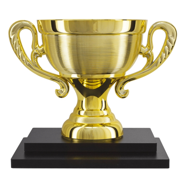Imagem de TROFÉU PARA PREMIAÇÃO GERAL COM BASE DE MDF E TAÇA METALIZADA - PLM-821-DO